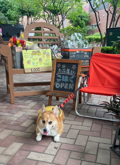 出張販売５